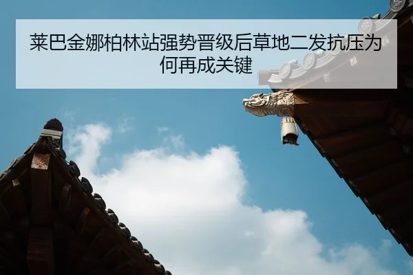 lai-ba-jin-na-bo-lin-zhan-qiang-shi-jin-ji-hou-cao-di-er-fa-kang-ya-wei-he-zai-cheng-guan-jian-2-274.jpg