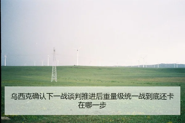 wu-xi-ke-que-ren-xia-yi-zhan-tan-pan-tui-jin-hou-zhong-liang-ji-tong-yi-zhan-dao-di-hai-ka-zai-na-yi-bu-2-724.jpg