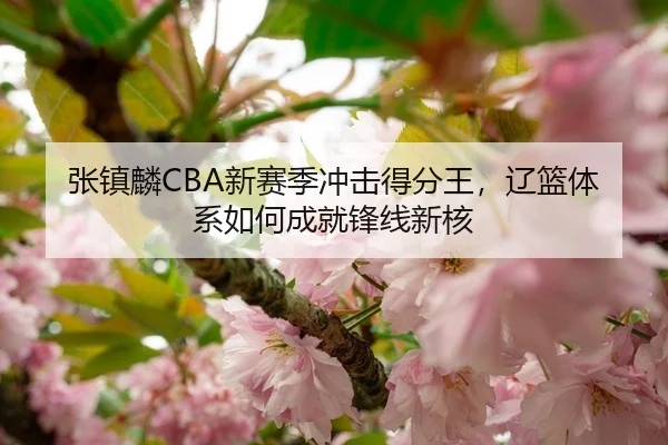 张镇麟CBA新赛季冲击得分王，辽篮体系如何成就锋线新核